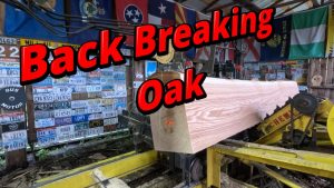 Back Breaking Oak 889 - YouTube original thumbnail