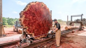 Lychee Burl Root Round Dining Table Process - YouTube original thumbnail