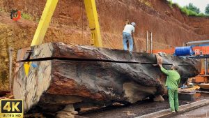 Inside Massive Wood Processing Gigantic Logging Powerful Machines Luxury Furniture Creation - YouTube original thumbnail