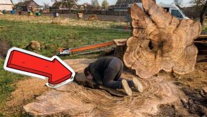 Unbelievable Find Inside An Old Stump 2 - YouTube original thumbnail