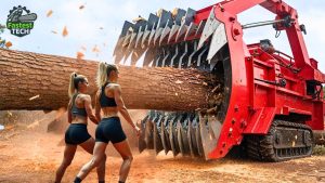 Extreme Dangerous Fastest Chainsaw Cutting Tree Machine Wood Chipper Machines 1 - YouTube original thumbnail