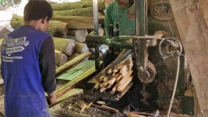 Advanced Sawmill Precision Clean Cuts Better Lumber - YouTube original thumbnail