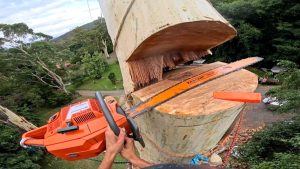 Dangerous Tree Cutting Winch Humboldt - YouTube original thumbnail