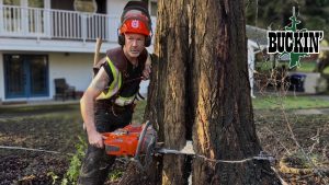 This Is Where Loggin Meets Tree Work - YouTube original thumbnail