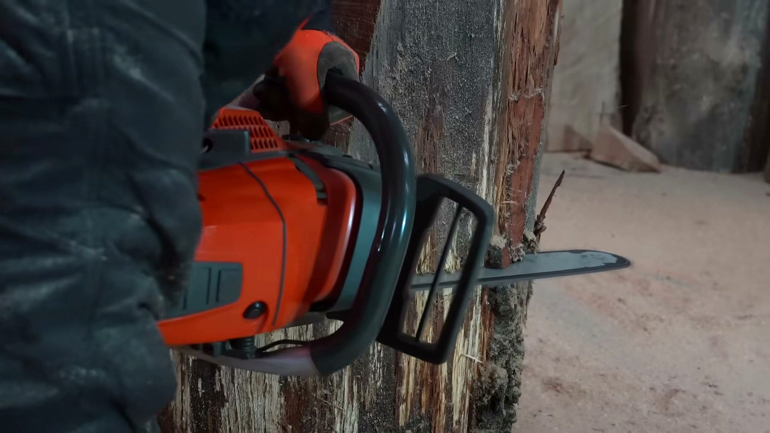 amazing giant log becomes life size source video process analysis
