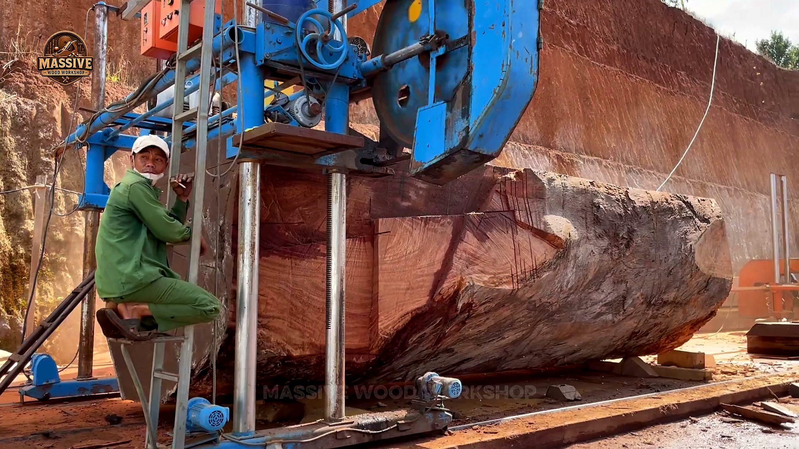 ancient giant tree - a detail-check moment that helps readers inspect the process