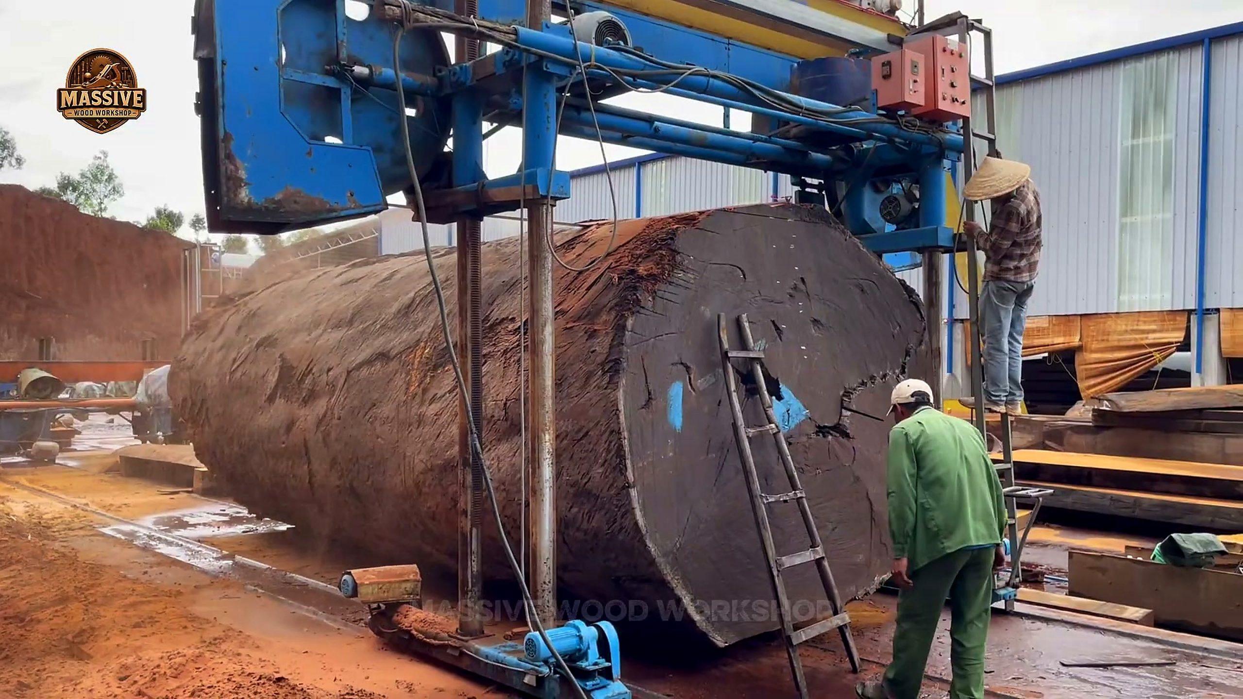 ancient giant tree - the main work stage that carries the video's practical lesson