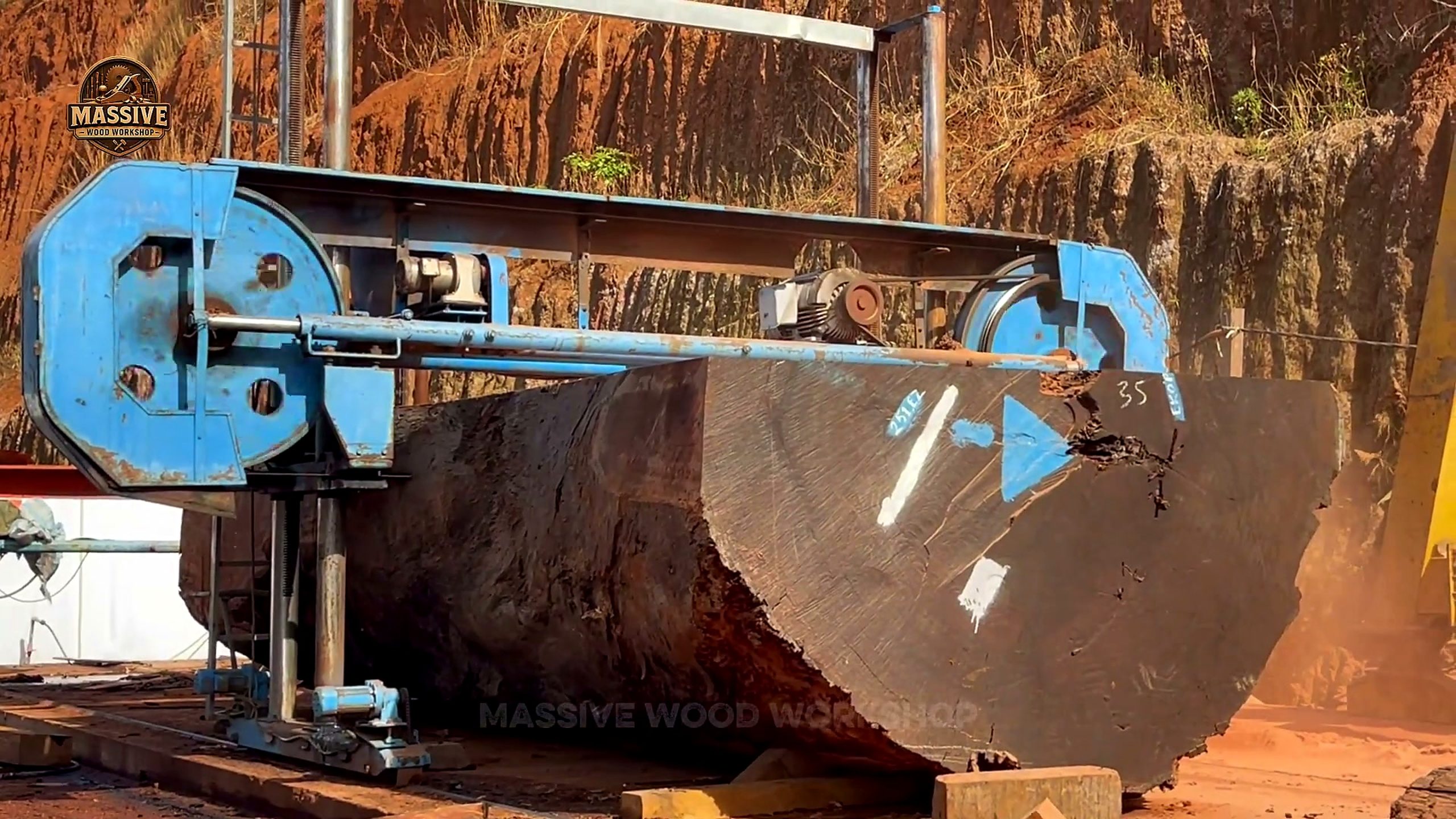 ancient giant tree - the later review stage where the result can be evaluated