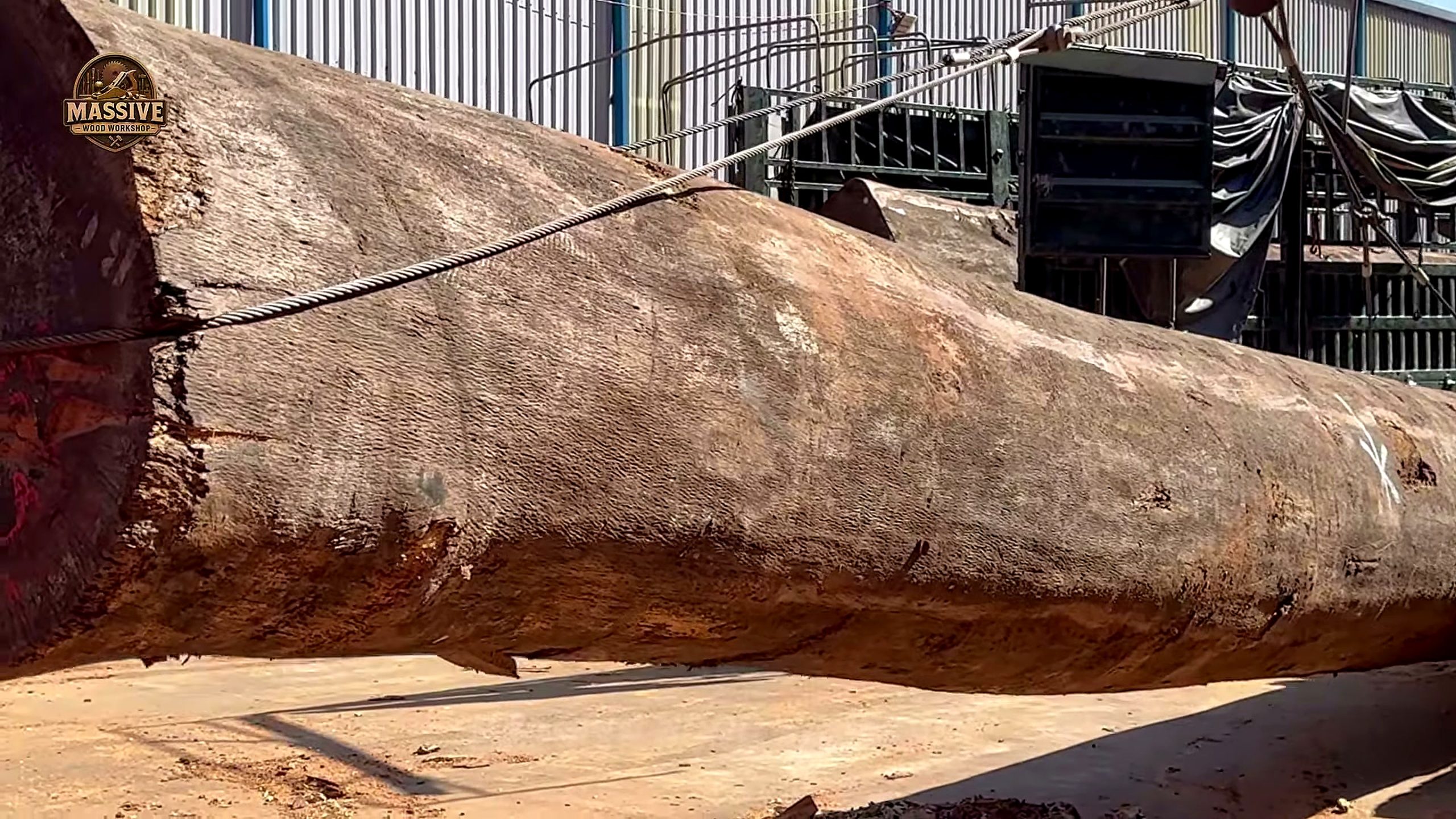 ancient timber - the source video context before the main process is judged