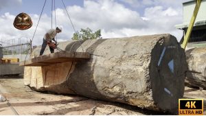 Giant 2000 Year Old Log Cutting Large Wood Mill - YouTube original thumbnail