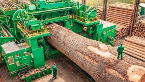 Inside The Largest Wood Sawmill Factory How Plywood Is Made From Logs To Table Full Process 2 - YouTube original thumbnail
