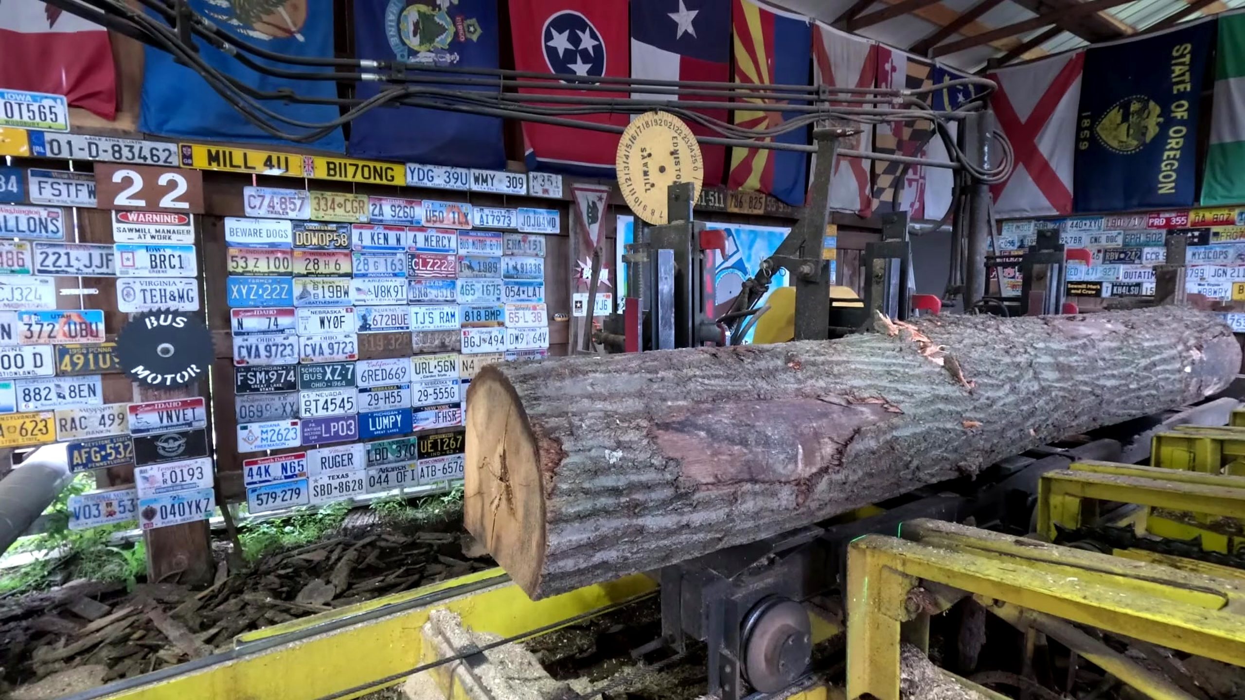 banana oak sawmill board cutting process - the log end and irregular outside shape positioned for the opening face