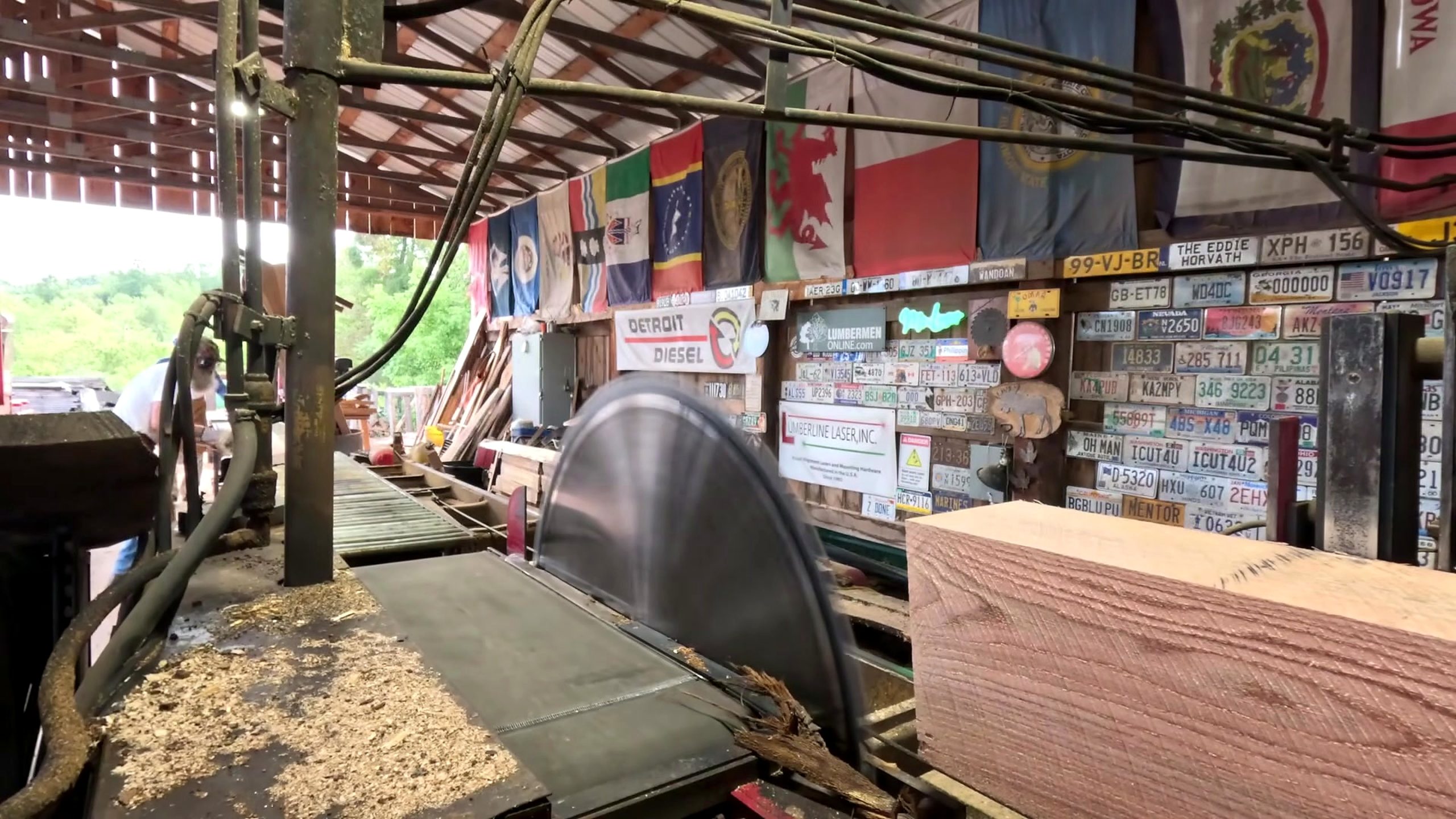 banana oak sawmill board cutting process - a long board guided past a large circular saw to establish a straight edge