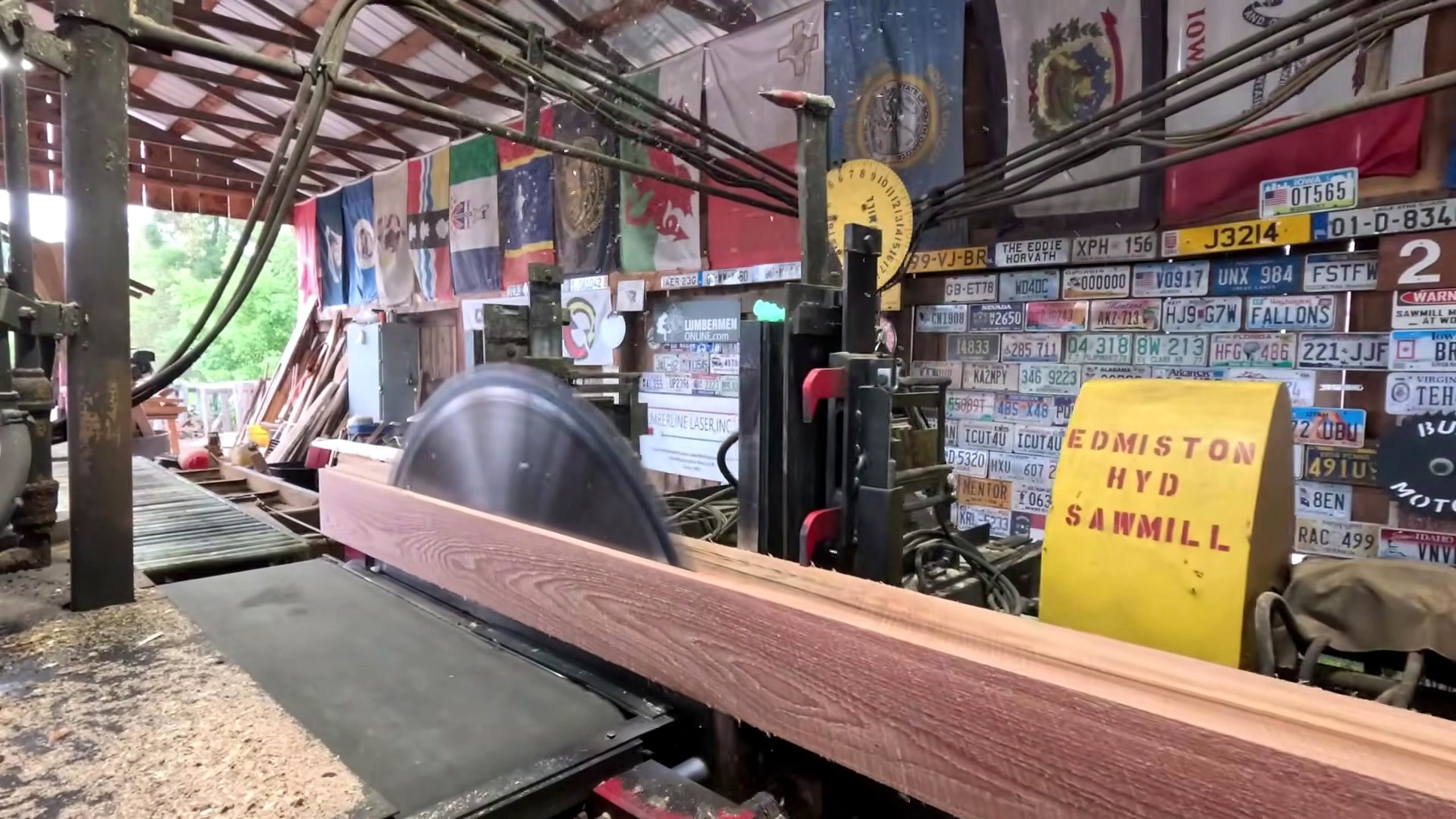 banana oak sawmill board cutting process - a long freshly sawn board supported as it leaves the bandmill