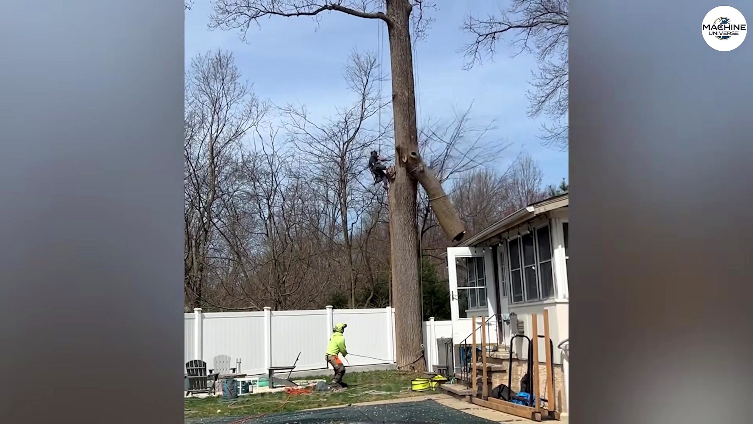 crazy monster chainsaw machines cutting giant - the main work stage that carries the video's practical lesson