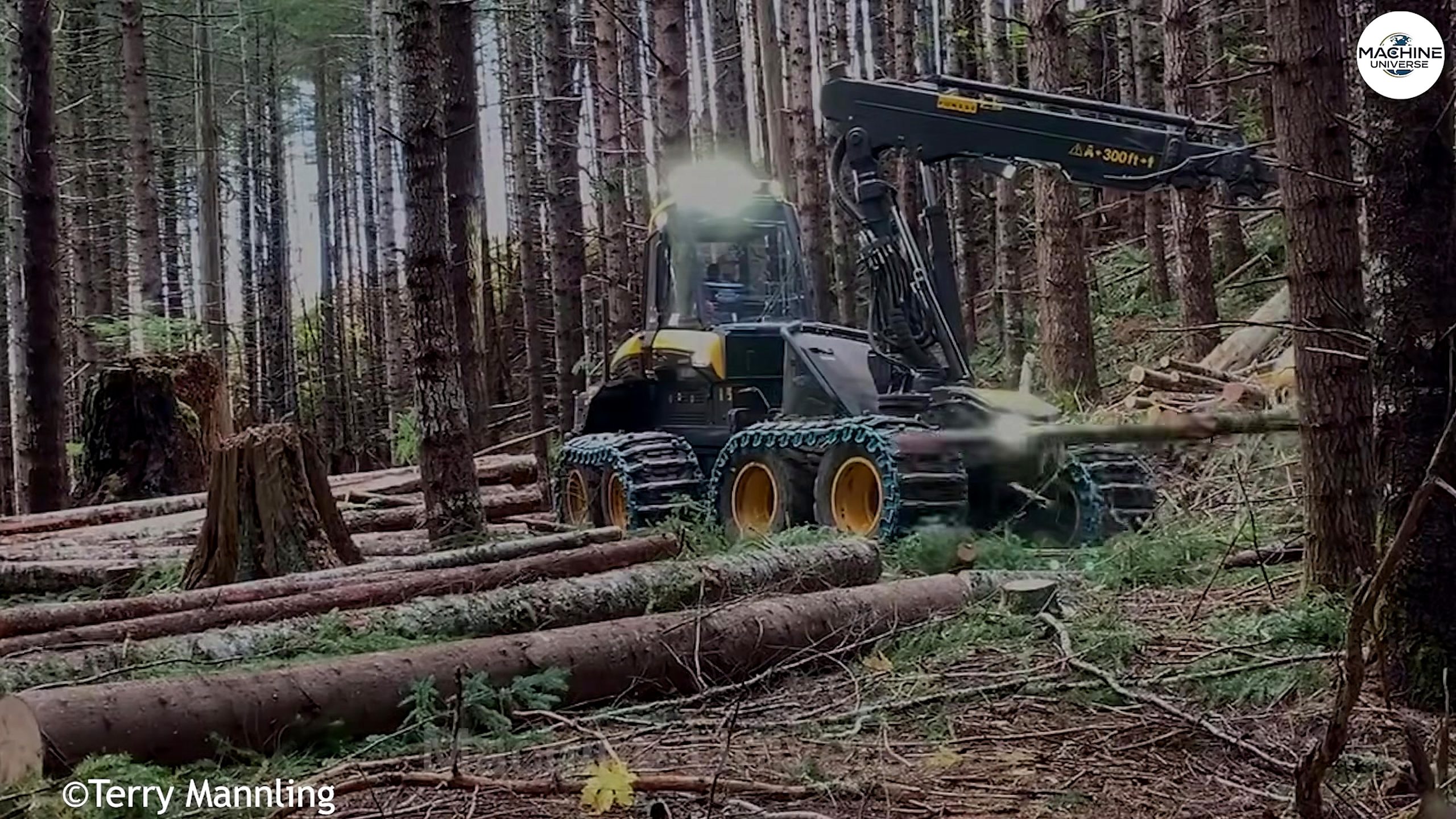 crazy monster chainsaw machines cutting giant - the later review stage where the result can be evaluated