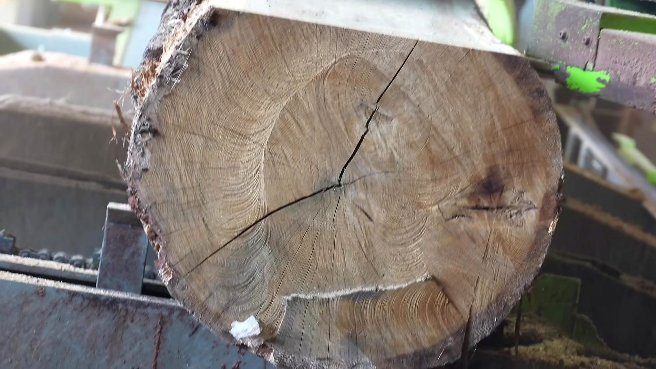 cutting huge oak logs planks roof sawmill - the later review stage where the result can be evaluated