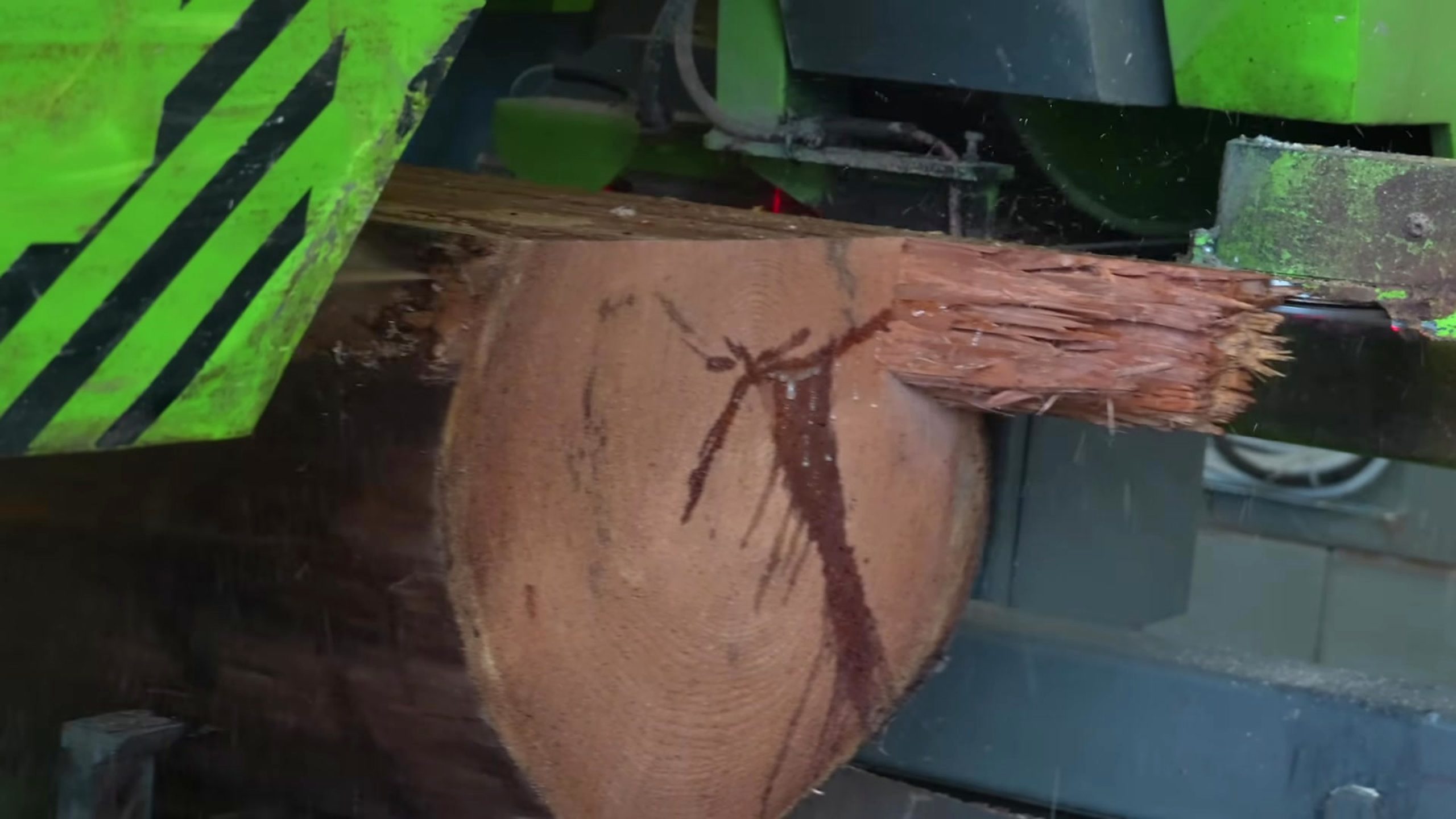 cutting huge oak logs planks roof sawmill - the source video context before the main process is judged