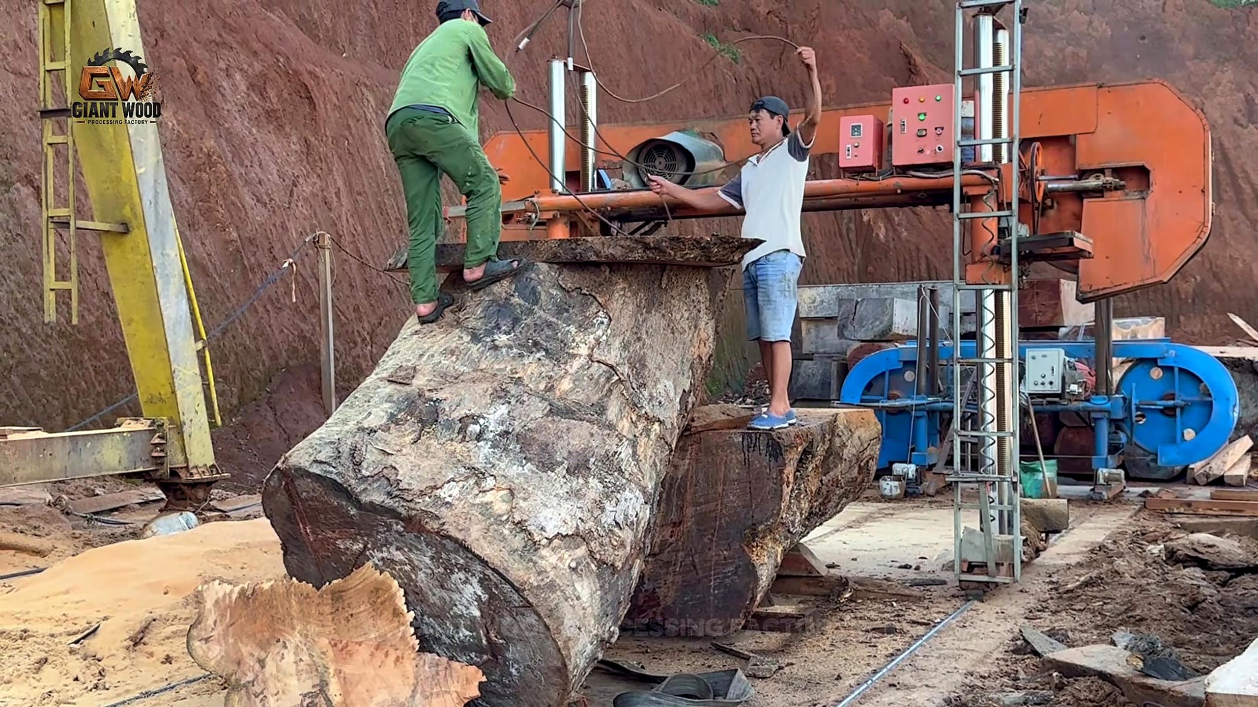 horizontal band saw cutting an oversized log during the giant timber slab cutting process