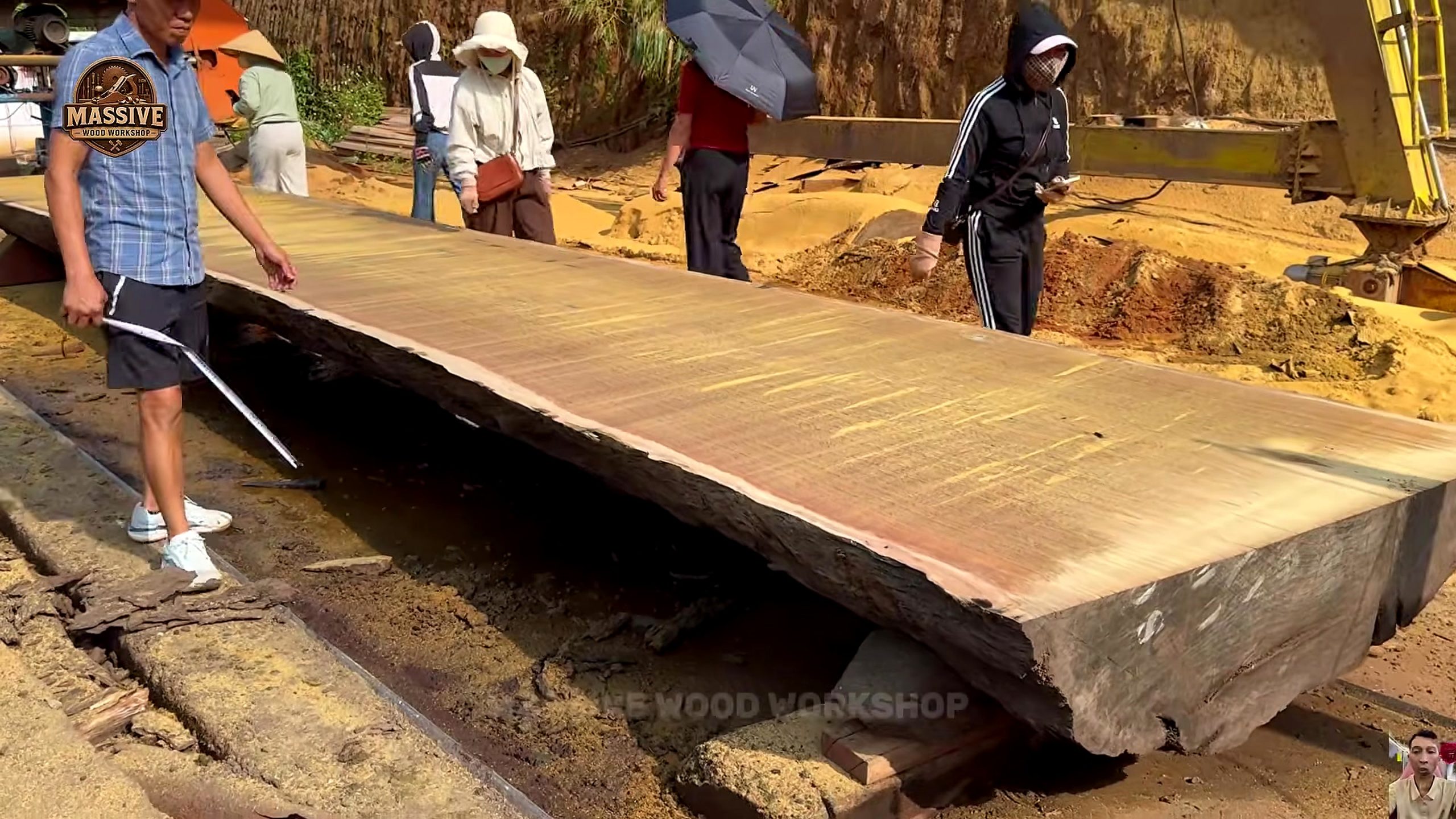 forest giant to live edge slab result review showing the processed timber back in the yard among other workshop stock
