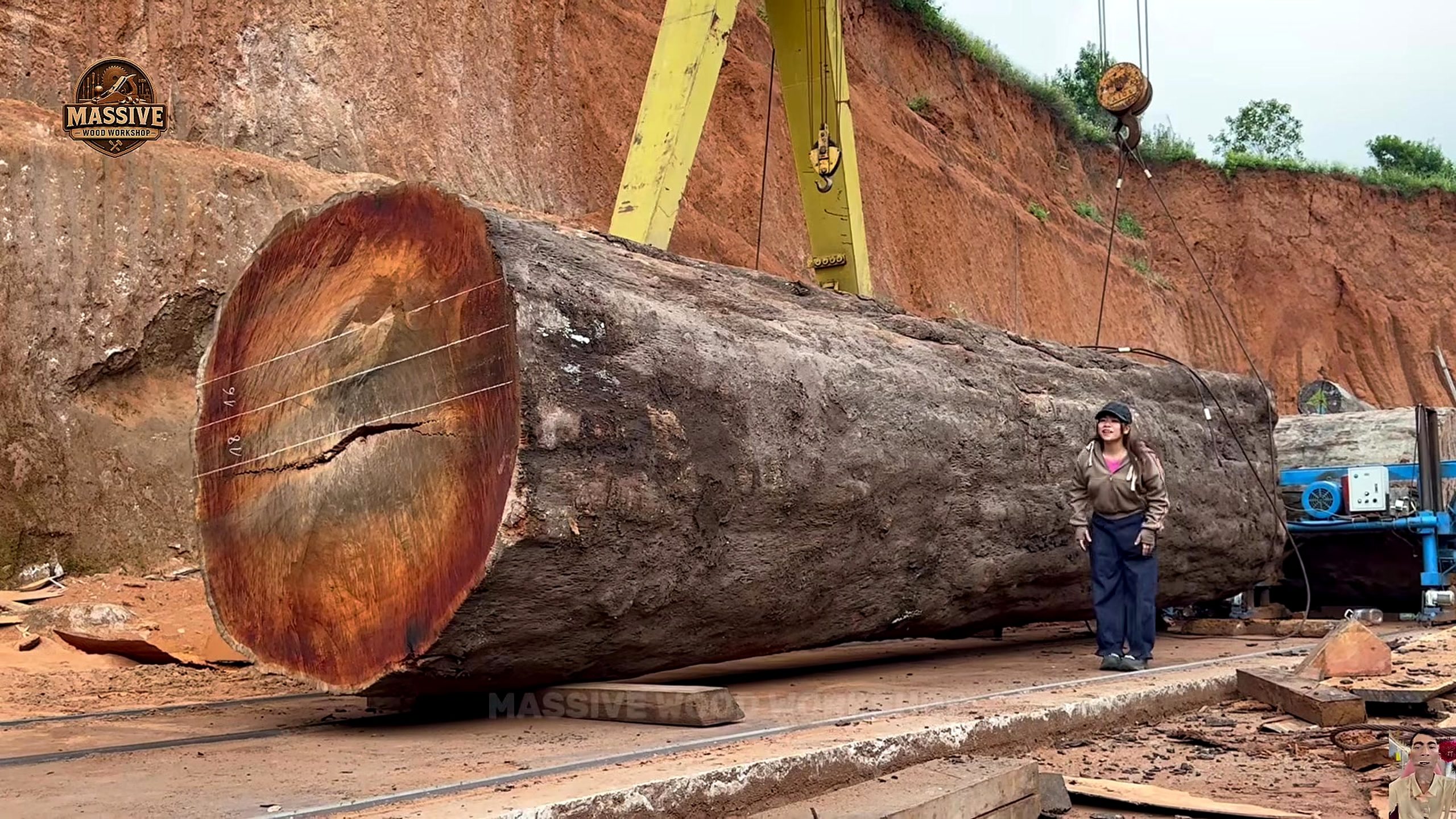 forest giant to live edge slab setup showing the giant trunk aligned on rails near lifting equipment before the long milling pass