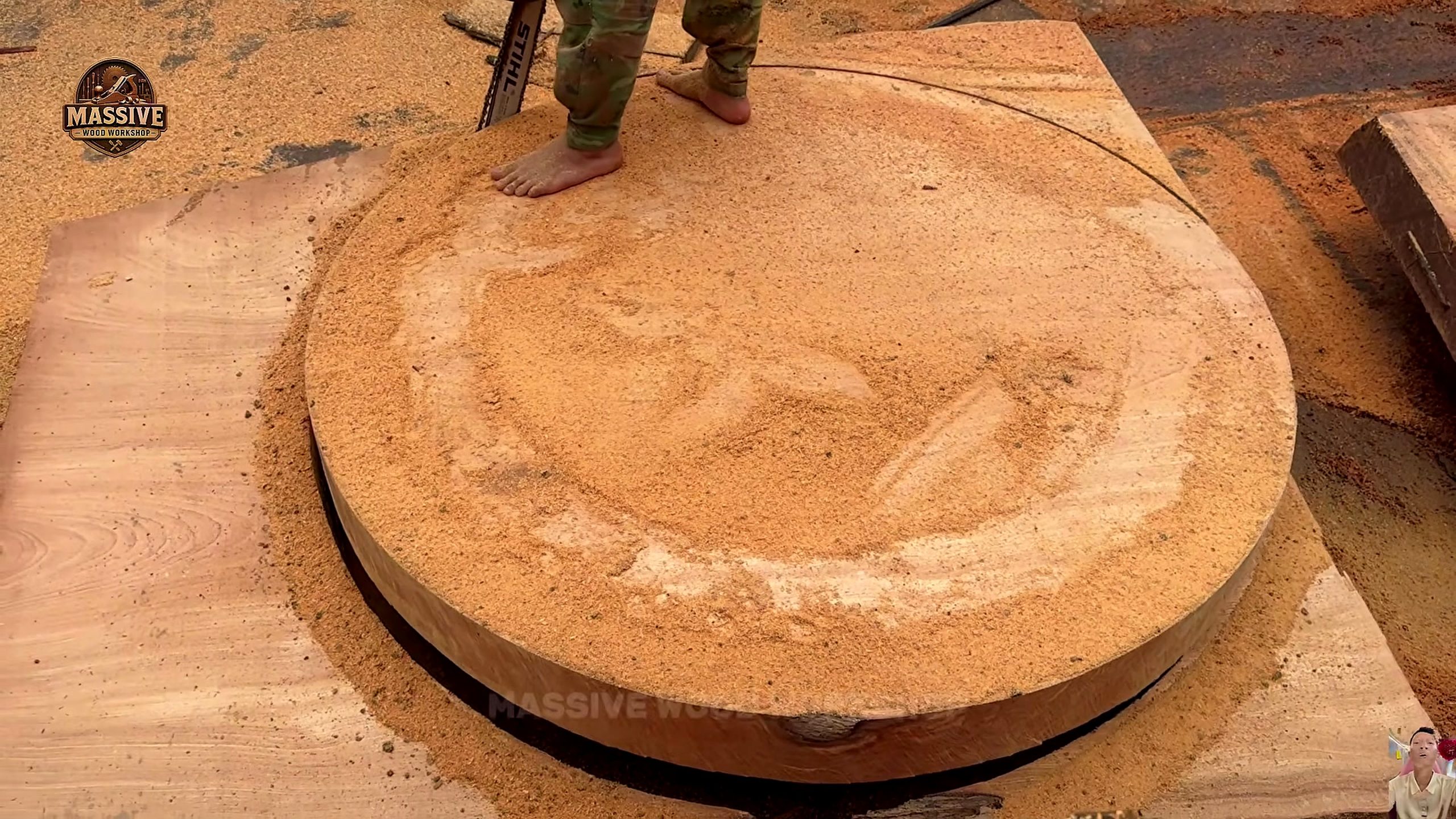 forest giant to live edge slab source context showing a huge round wood section already cut smooth enough to reveal its scale and grain
