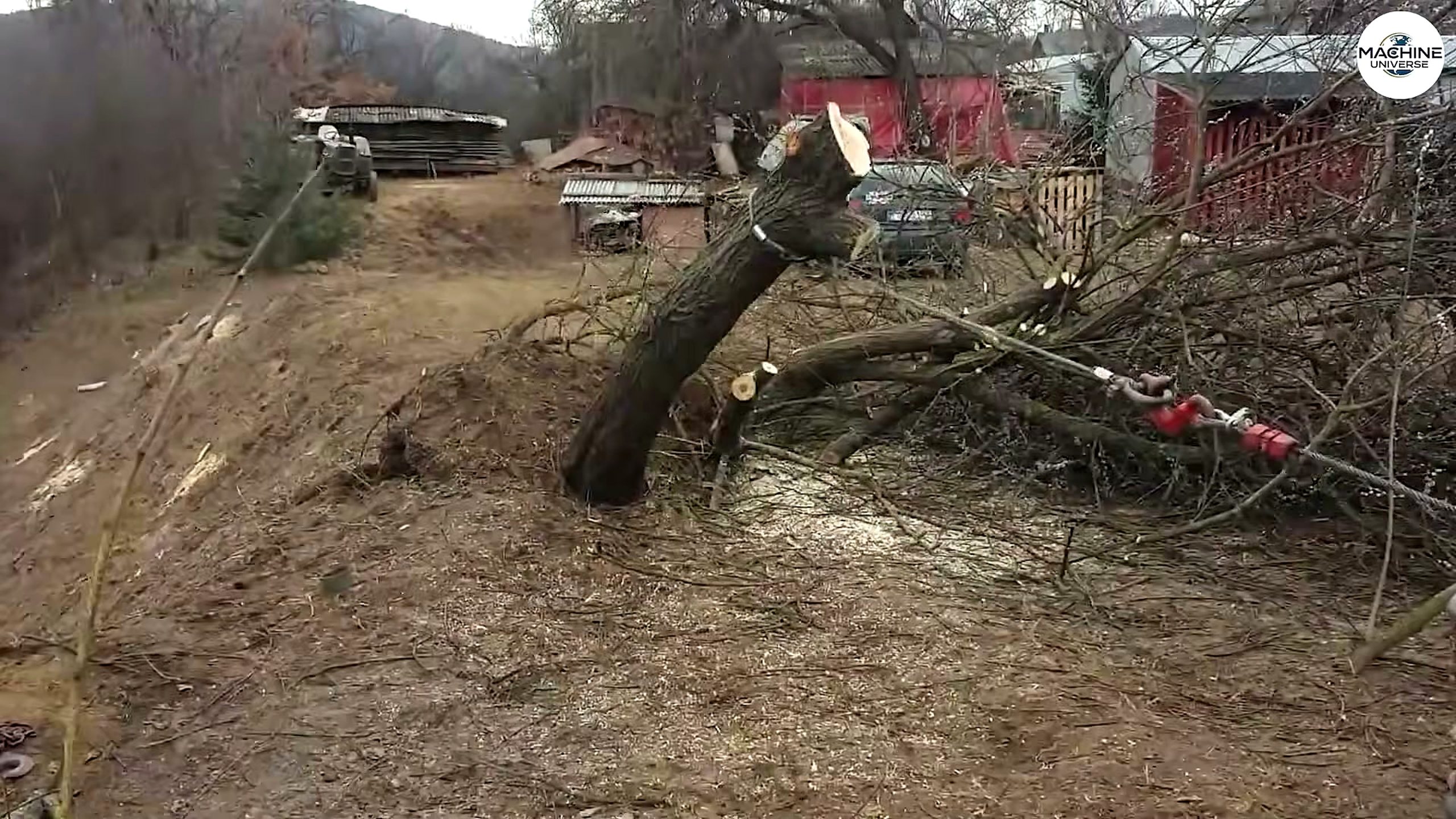chainsaw tree cutting failure analysis - the later review stage where the result can be evaluated