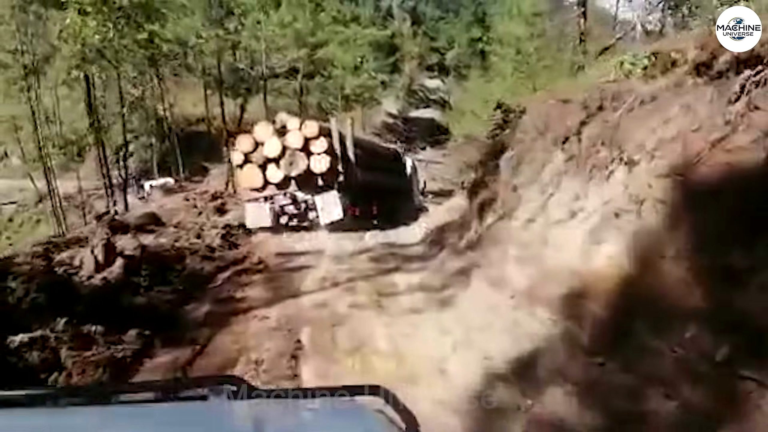 chainsaw tree cutting failure analysis - the source video context before the main process is judged