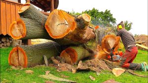 Chainsaw Milling Giant Log Into Solid Boards - YouTube original thumbnail