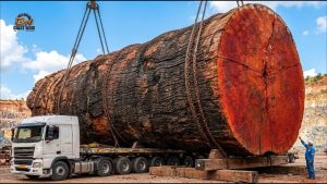 3000 Year Old Timber Sawmill Slab Process - YouTube original thumbnail
