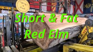 Sawing A Short Fat Red Elm Log 842 - YouTube original thumbnail
