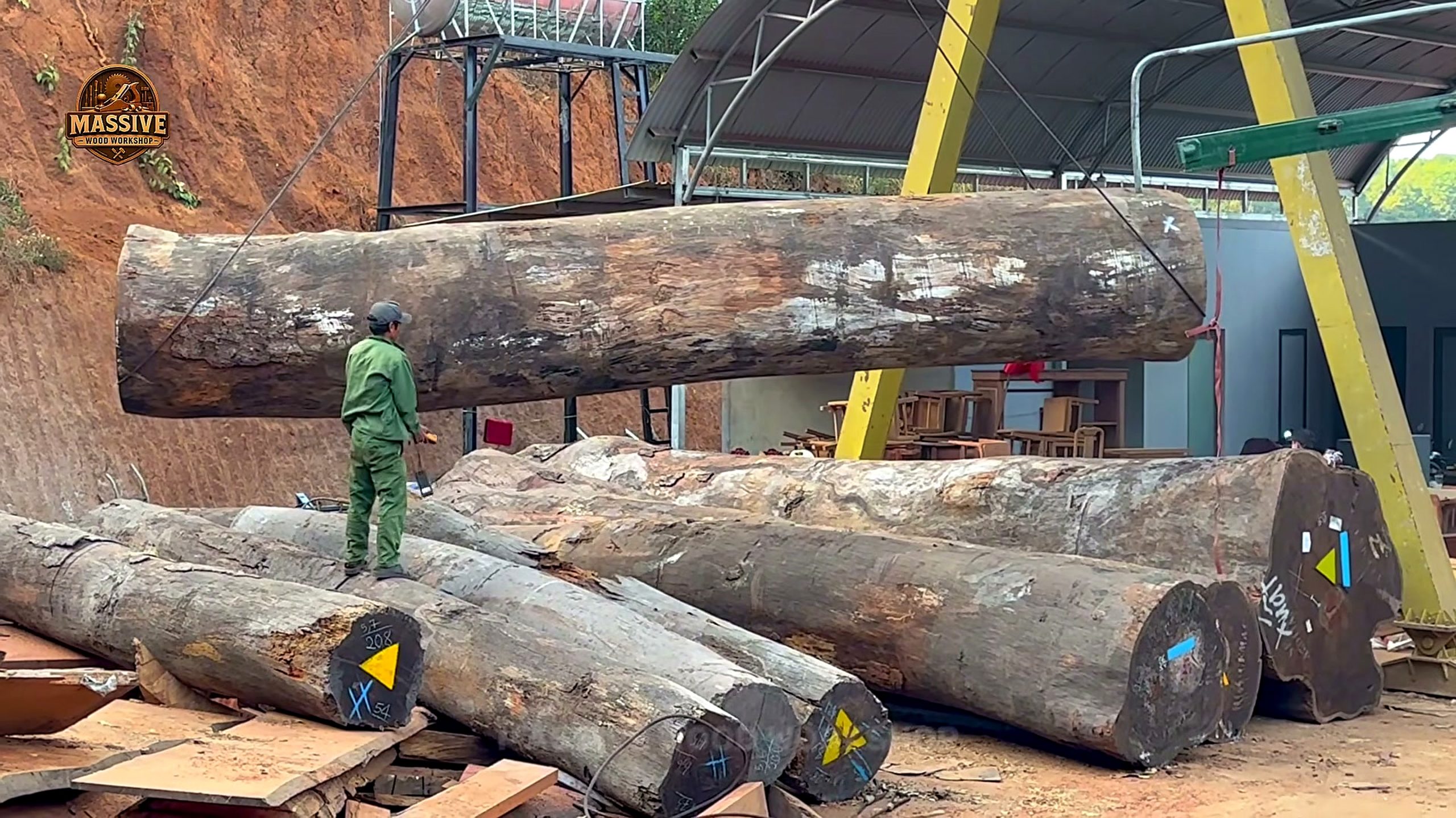 one tree one chance one incredible - the source video context before the main process is judged