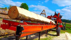 portable sawmill cuts massive meter tree