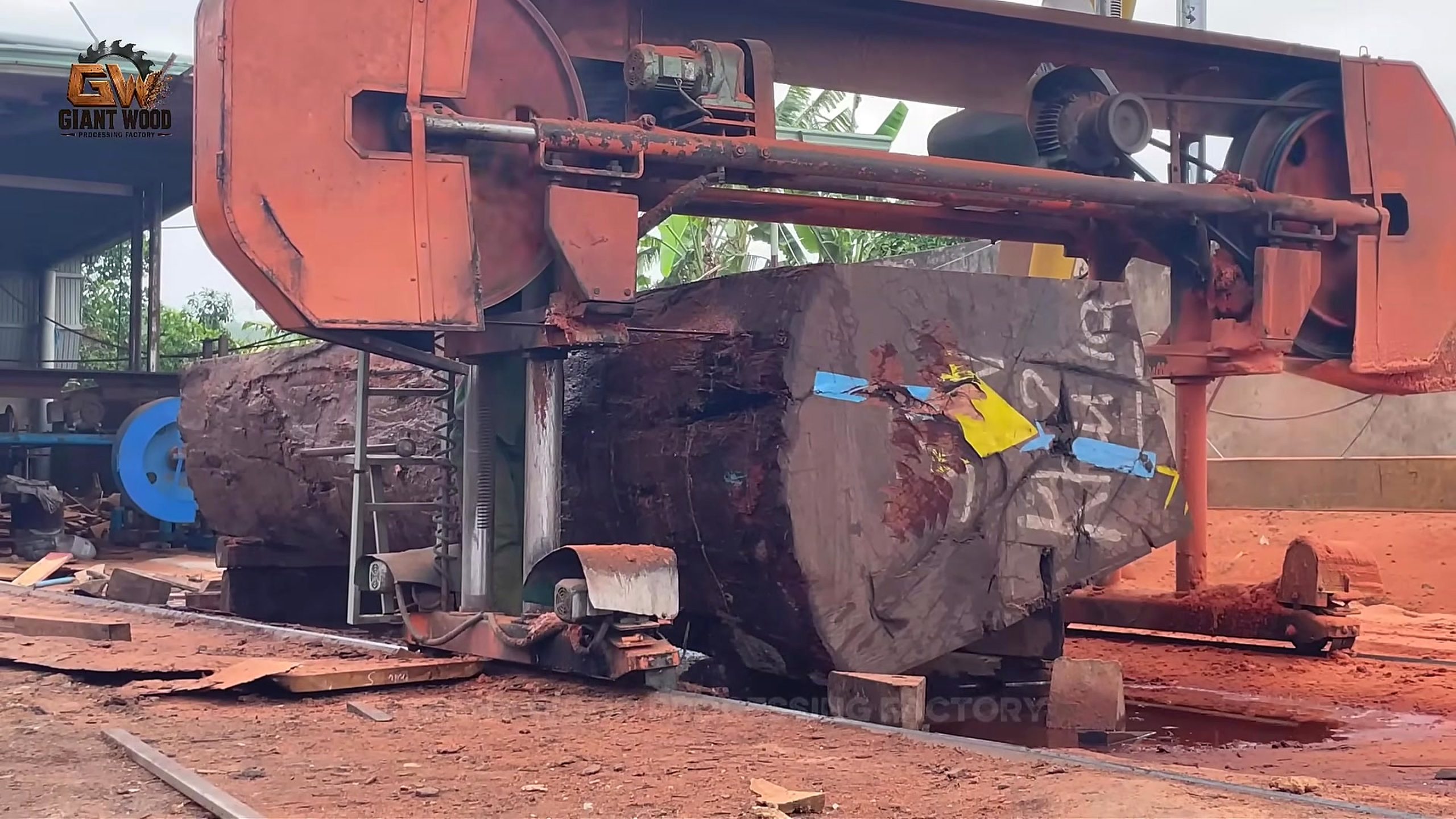 precious giant timber factory cutting process - the main factory cutting stage where the first kerf begins to control the later yield