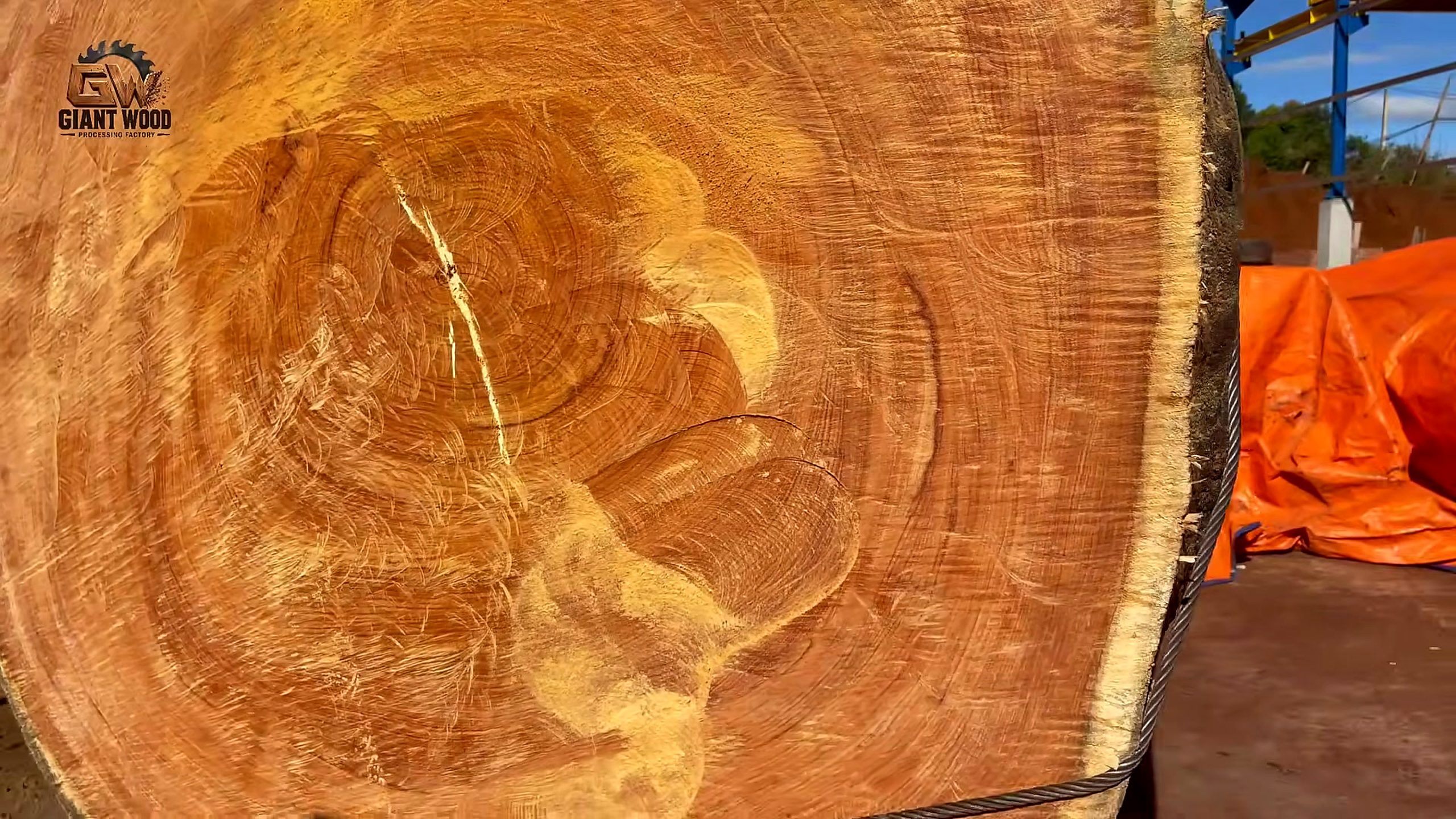 precious giant timber factory cutting process - support points and alignment choices before the first serious pass