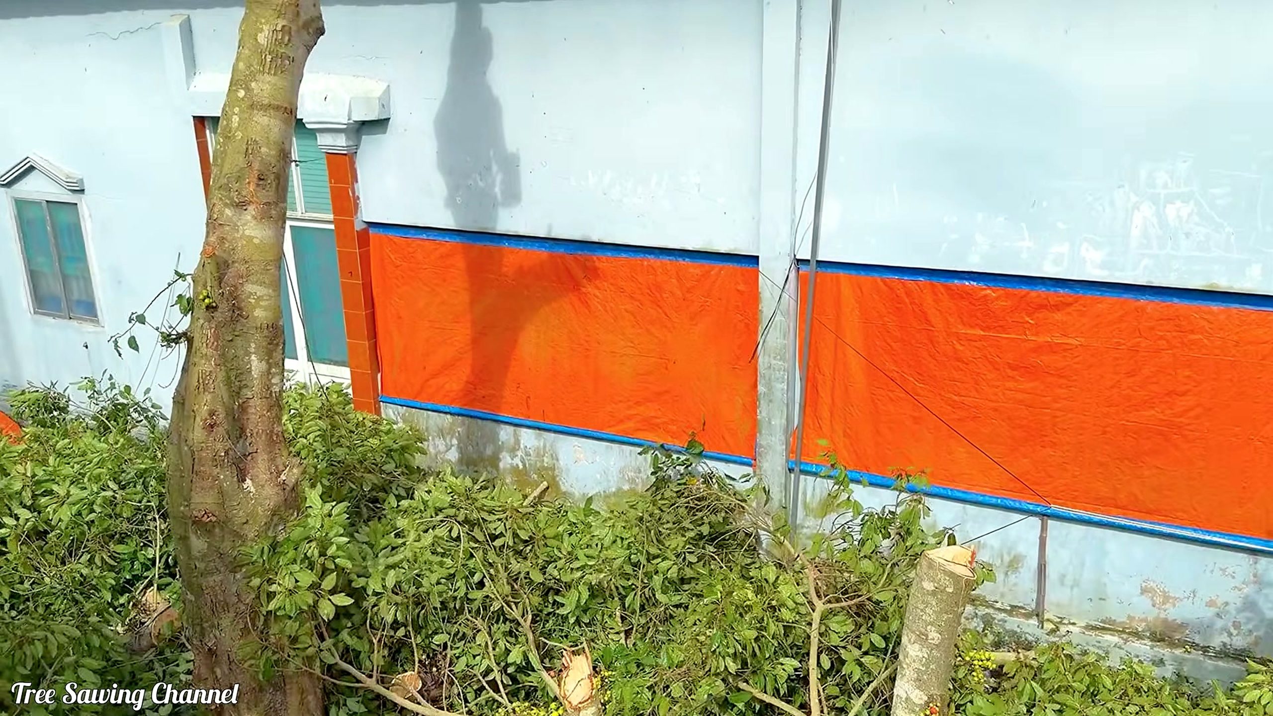 raging homeowner destroys neighbor heavy bearing tree - the later review stage where the result can be evaluated