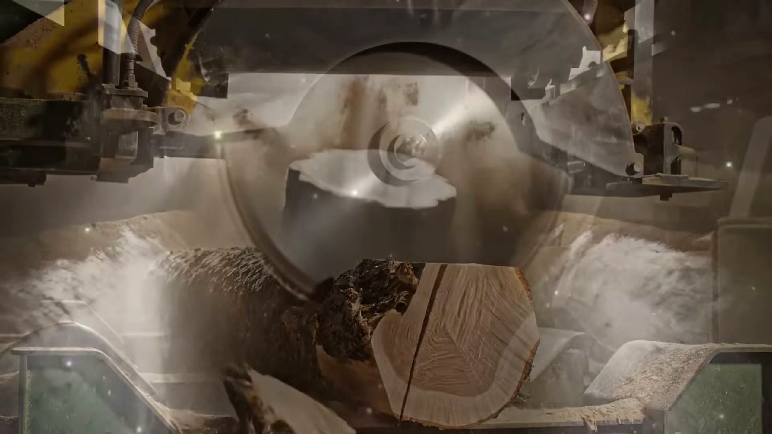 raw logs perfect solid wood doors - the source video context before the main process is judged