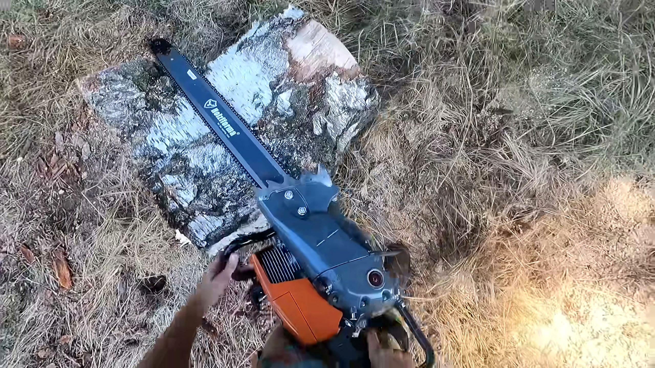 saw sucks trying worst reviewed chainsaw - a detail-check moment that helps readers inspect the process
