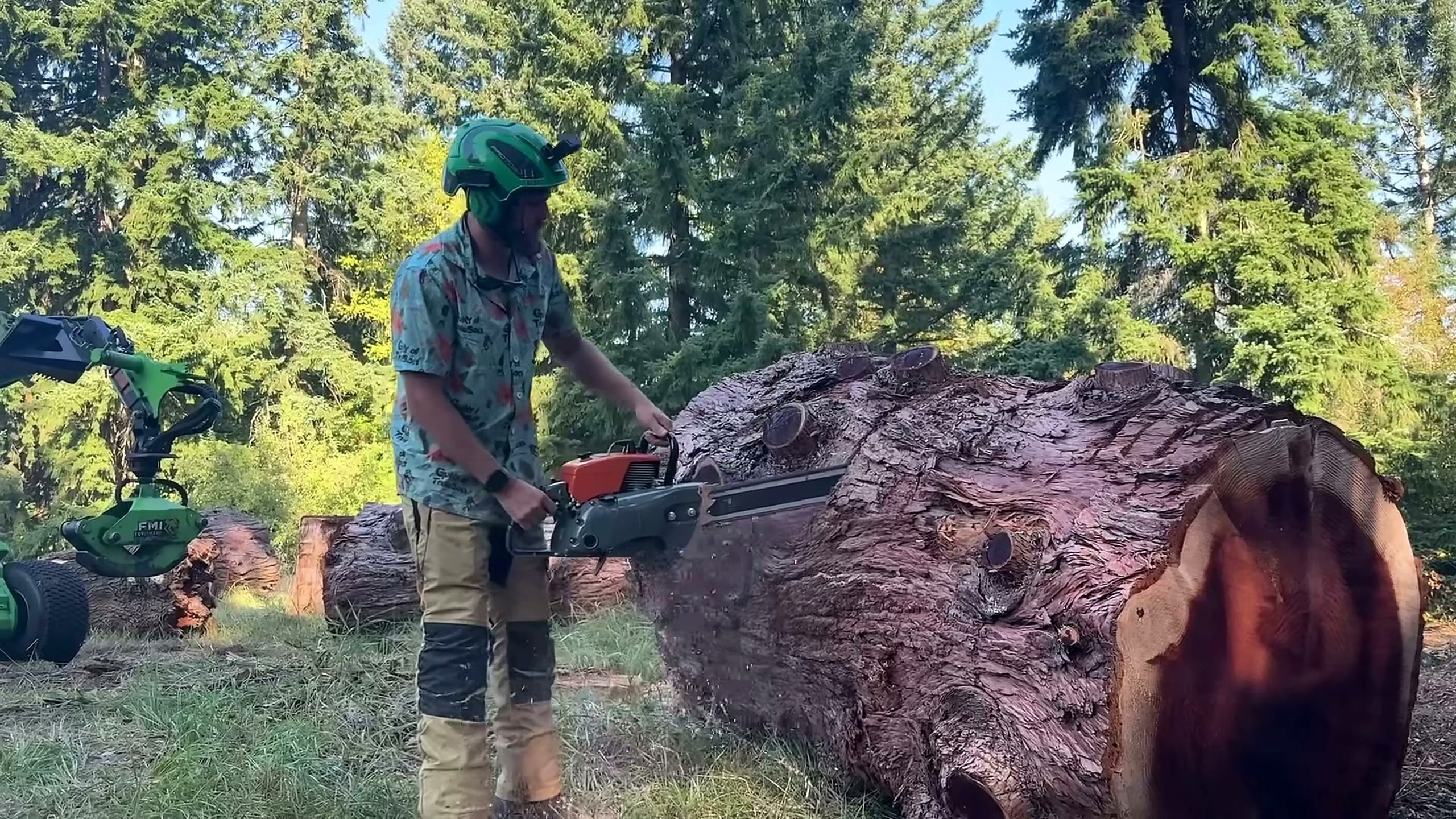 saw sucks trying worst reviewed chainsaw - the main work stage that carries the video's practical lesson