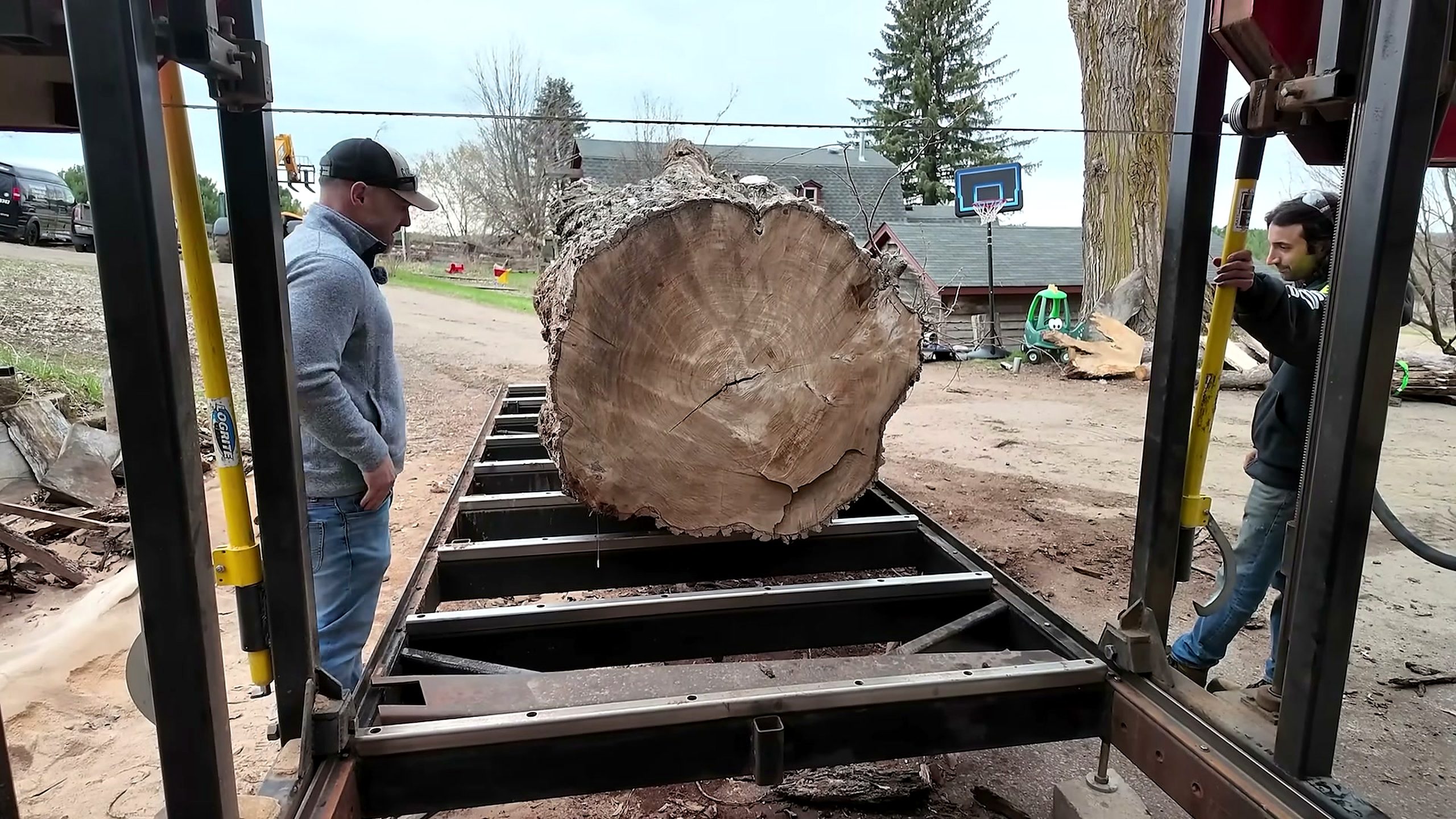 sawing 600lb single slab elm table with the elm log staged on the band sawmill