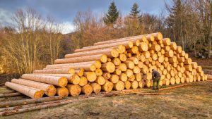 Man Spends Years Building Clean Man Spends 7 Years Building Dream Log House For His Family - YouTube original thumbnail