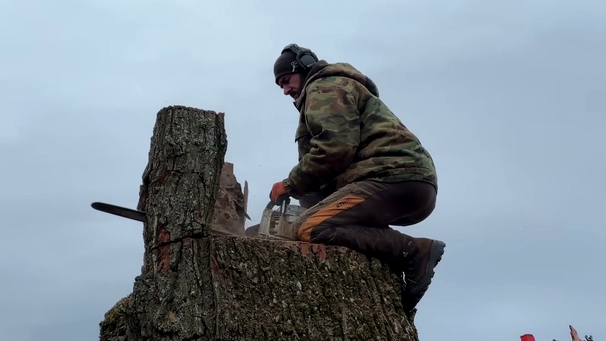 world best arborist shows unique technique - the main work stage that carries the video's practical lesson