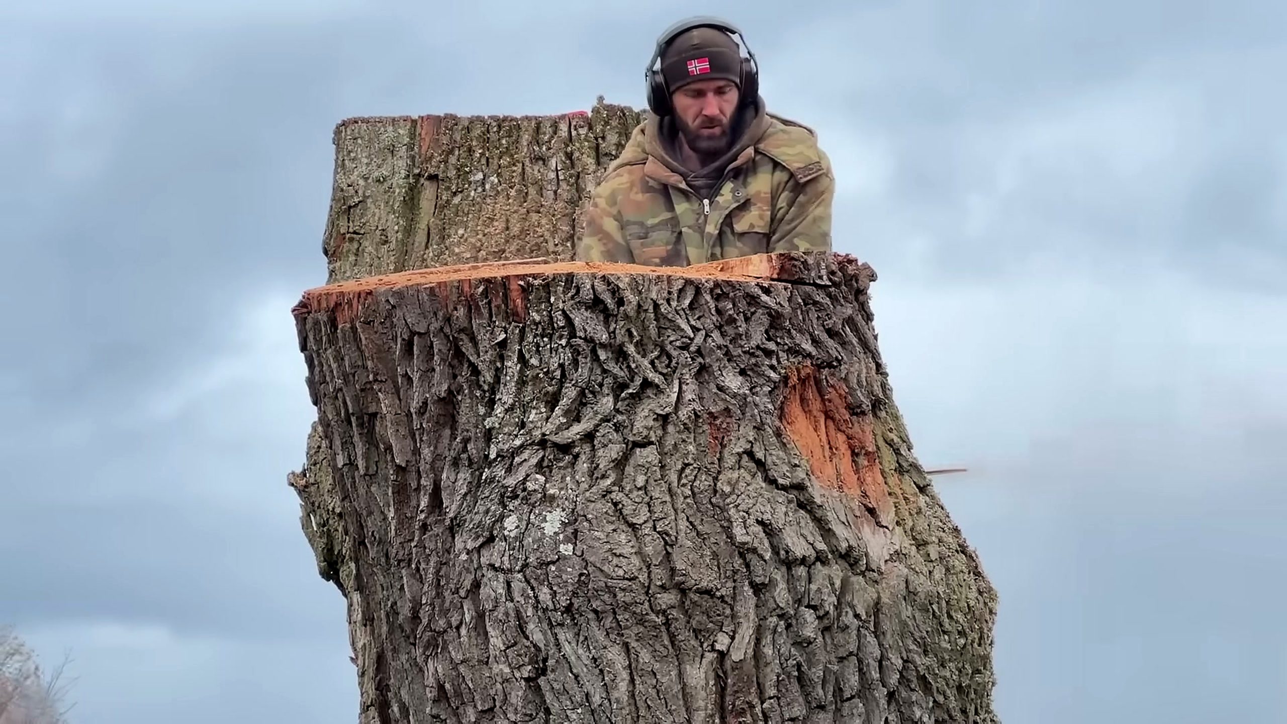 world best arborist shows unique technique - the setup or early workflow visible in the source video