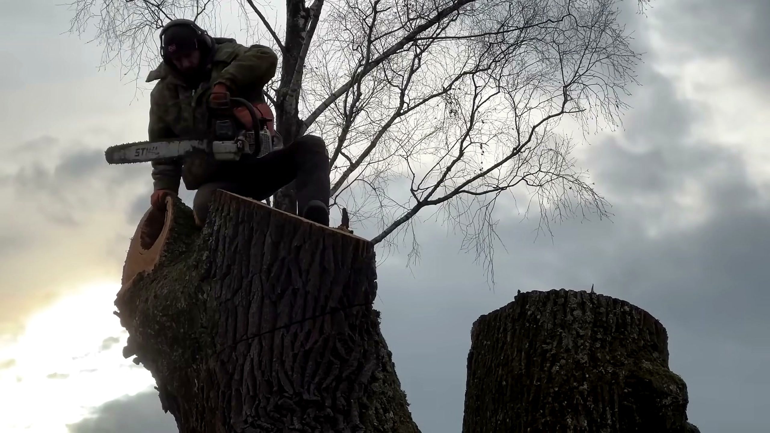 world best arborist shows unique technique - the source video context before the main process is judged
