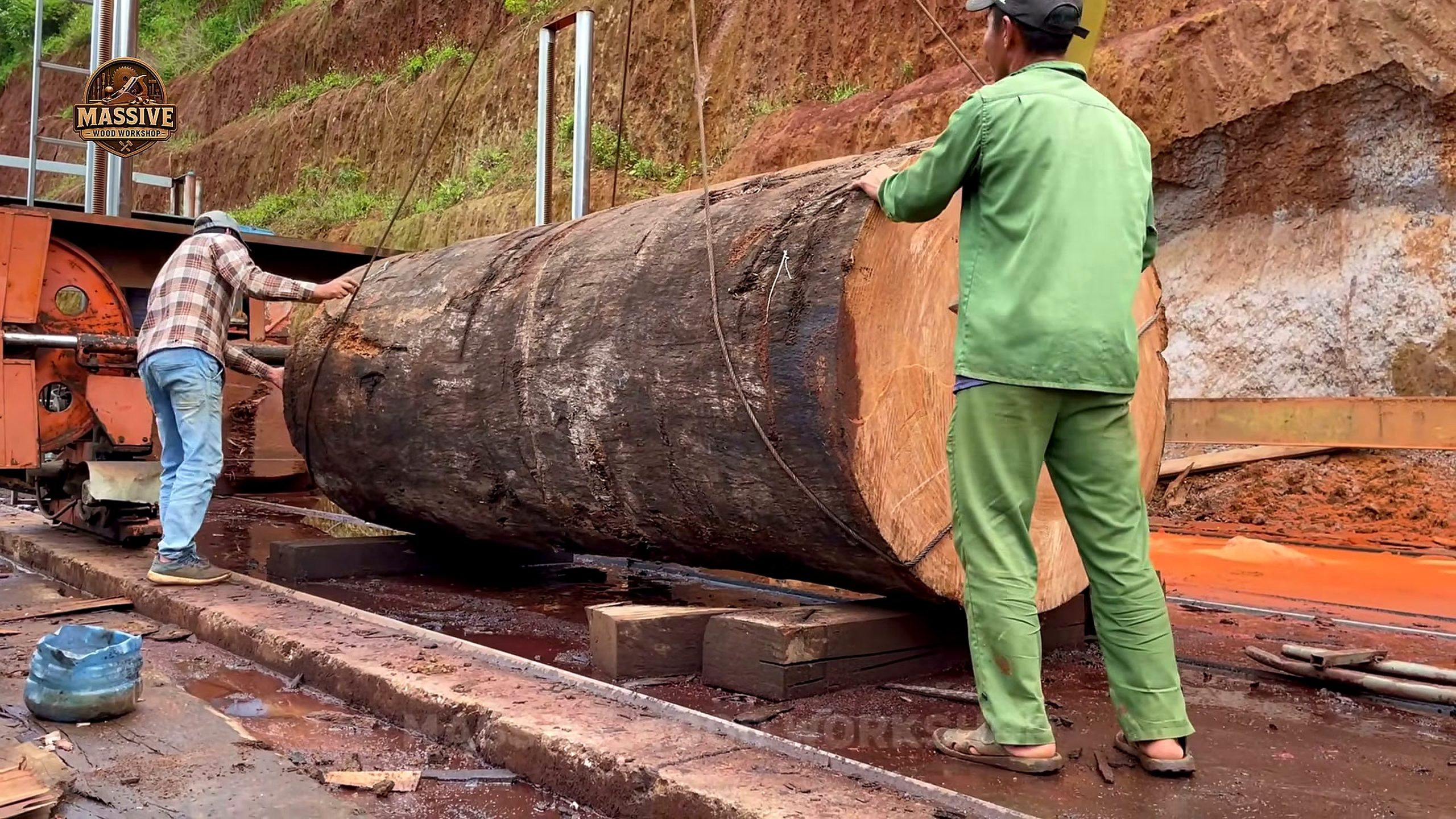 petrified log - a detail-check moment that helps readers inspect the process