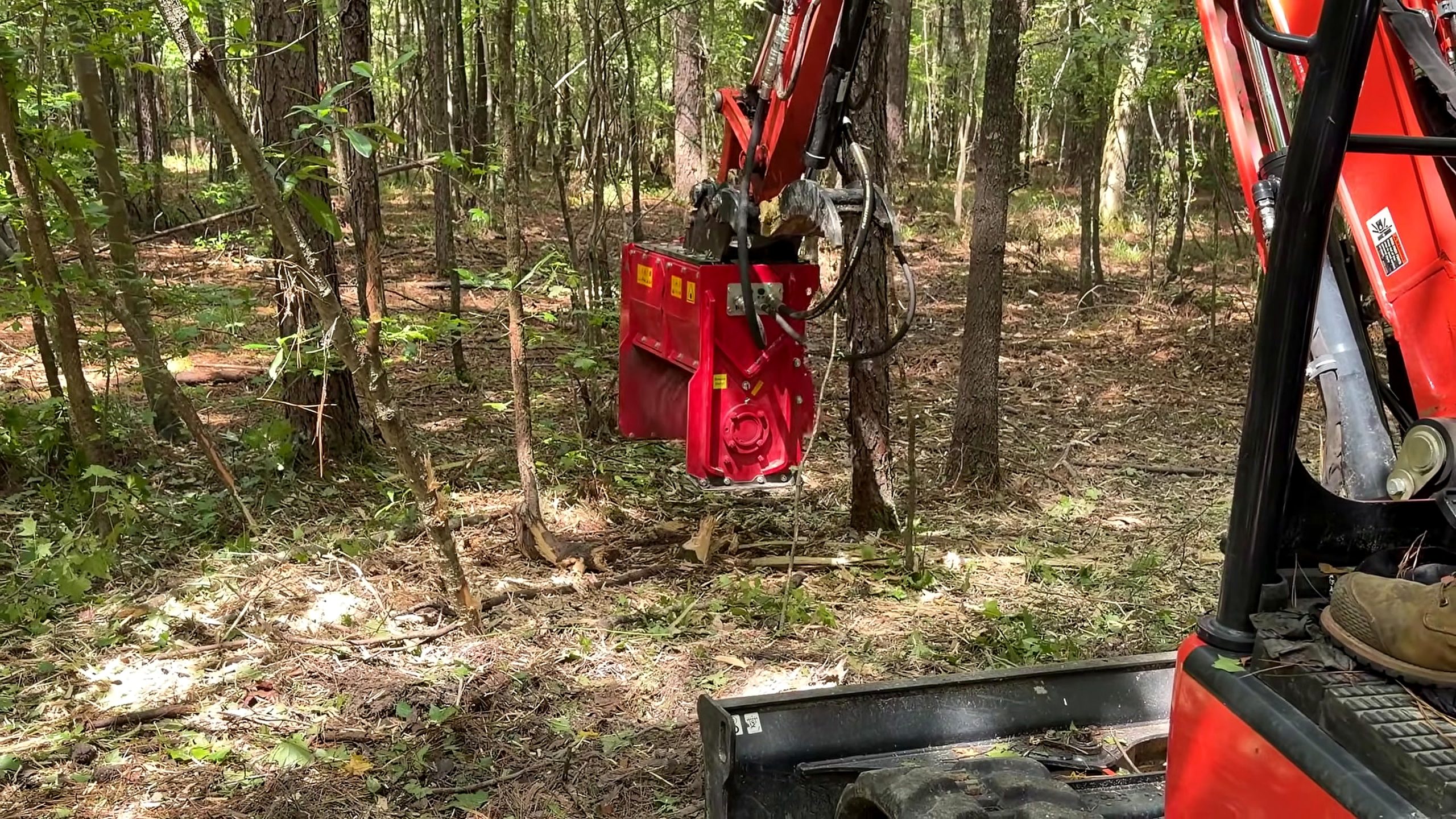 years overgrowth gone hours forestry mulcher clearing a surveyed boundary