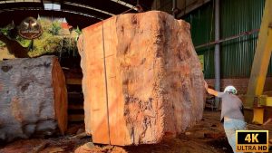 Large Scale Timber Processing Plant Precious Wood More Valuable Than Gold Cutting Down Gia - YouTube original thumbnail