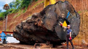 Tronco Gigante Obra Maestra Reveal De Tronco Gigante A Obra Maestra La Mesa De Madera Que - YouTube original thumbnail