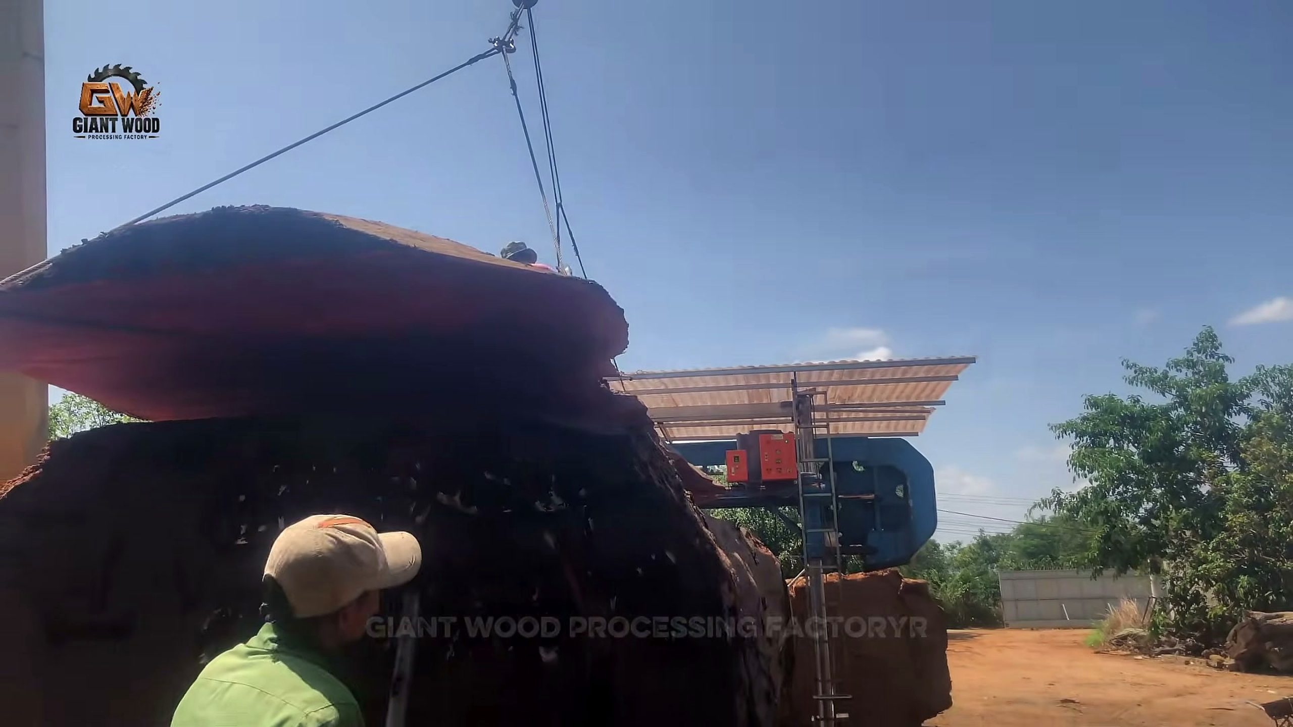 colossal timber arrived dozens workers machines - the setup or early workflow visible in the source video