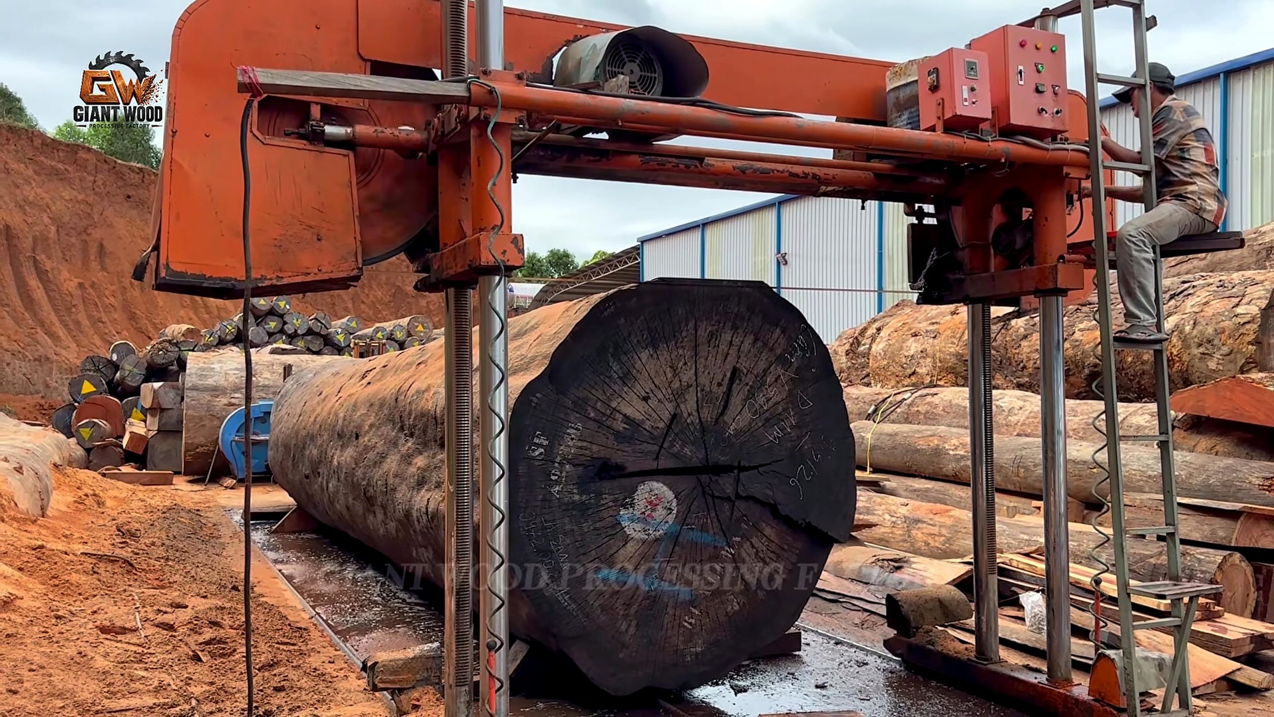 giant fallen tree bandsaw slab recovery - orange vertical bandsaw opening an oversized log at 687.21 seconds